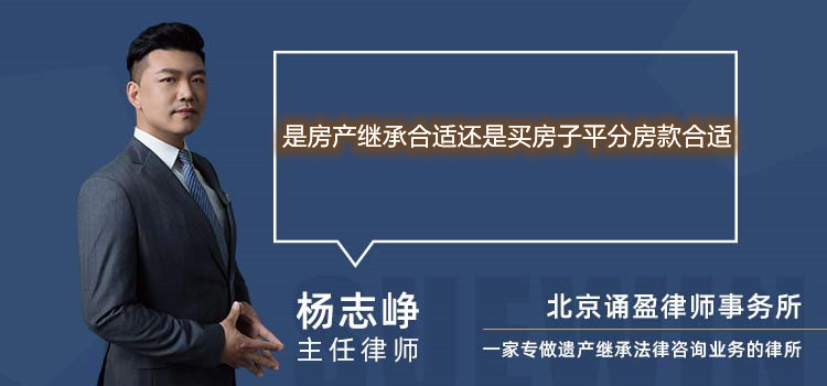 是房产继承合适还是买房子平分房款合适