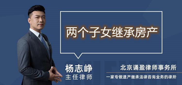两个子女继承房产
