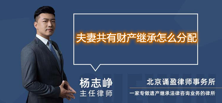 夫妻共有财产继承怎么分配